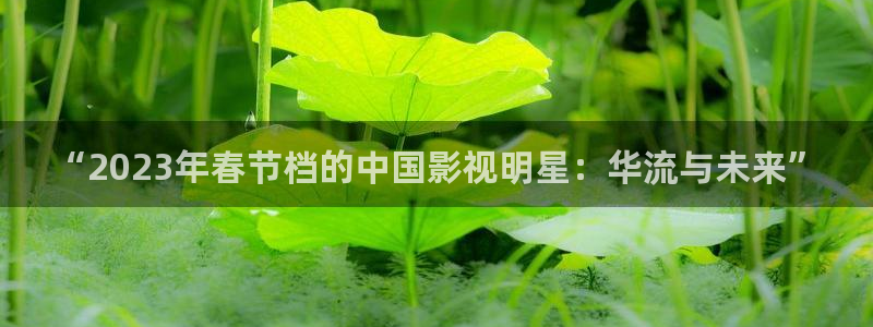 被窝理论影院：“2023年春节档的中国影视明星：华流与未来”
